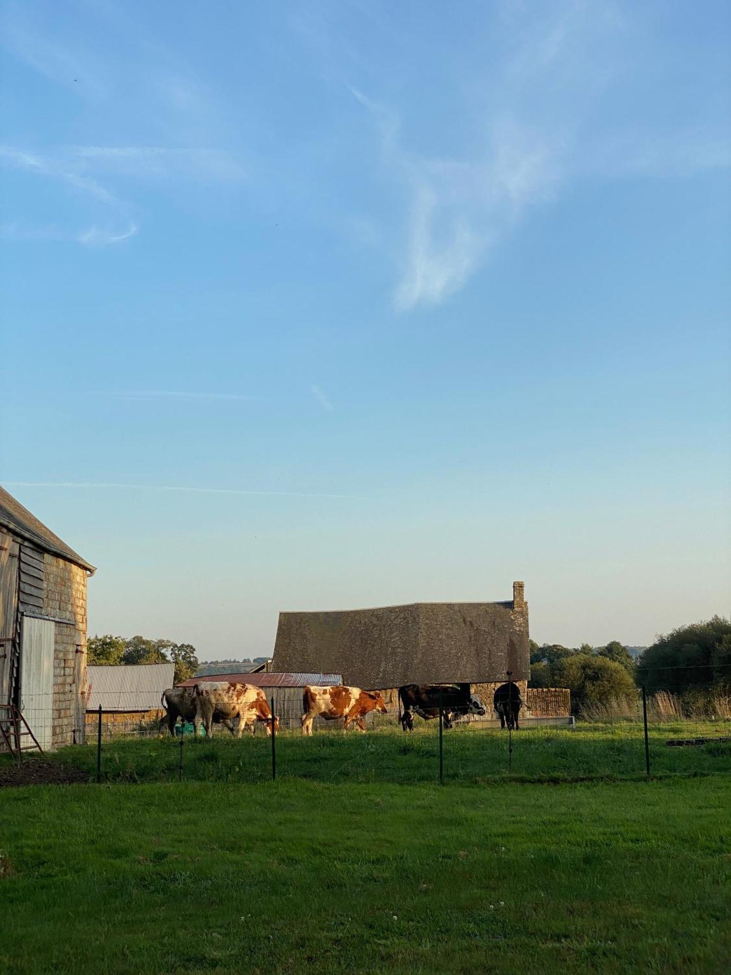 Entire Farm House Stay, La Gerouardiere Barenton Eksteriør billede